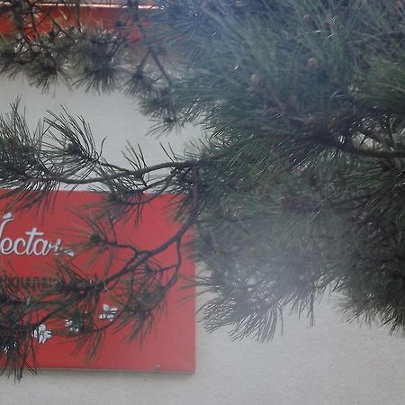 Nectar Hotel Dilijan Eksteriør billede