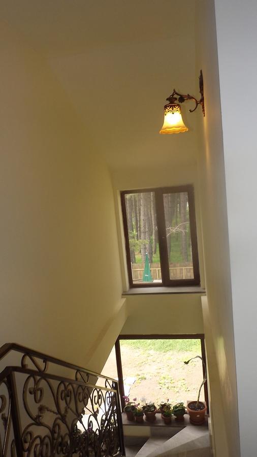 Nectar Hotel Dilijan Eksteriør billede