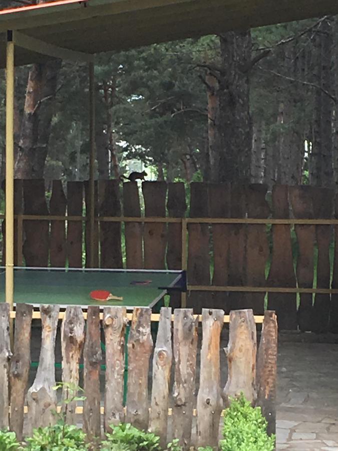 Nectar Hotel Dilijan Eksteriør billede